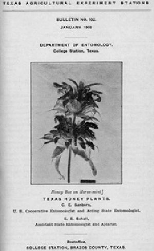 [Gutenberg 39357] • Texas Honey Plants